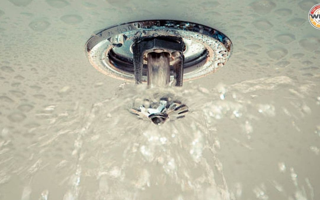 4 Main Types of Fire Sprinkler Heads: Which One Do You Need?