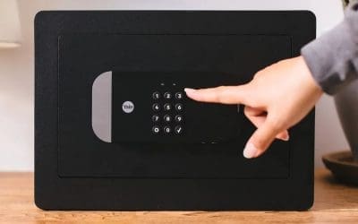 Essential Annual Maintenance Tips for Home & Gun Safes